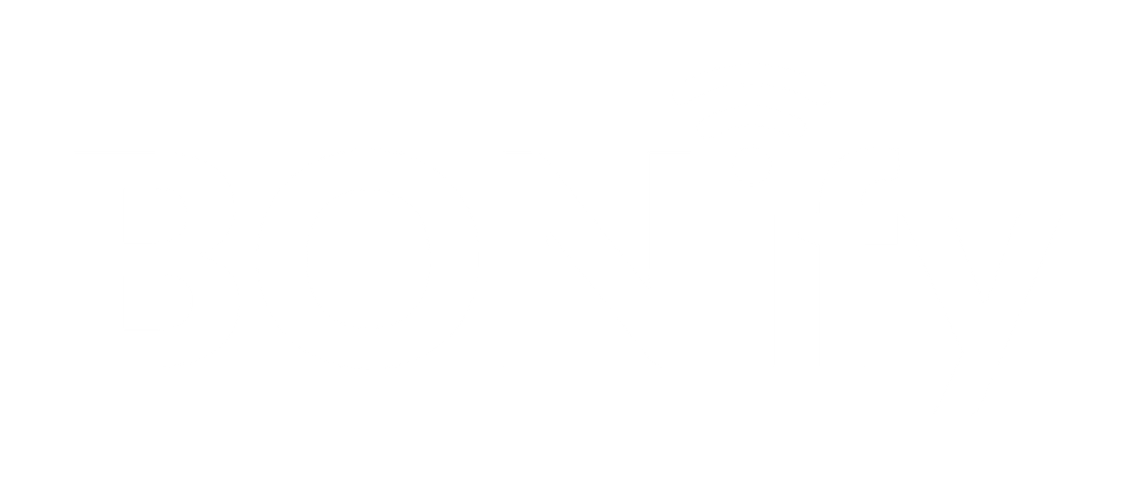 BONIFY MARKETING SOLUTIONS